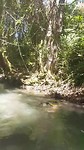 Jamaica