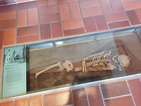 IMG_20210728_144139