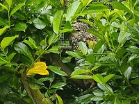 IMG_20210809_143556