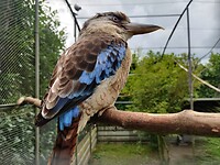 IMG_20210809_142738