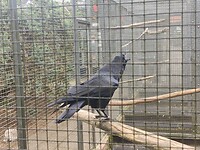 IMG_20210809_142422
