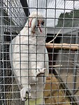 IMG_20210809_142001