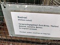IMG_20210809_141703