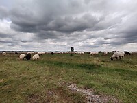 IMG_20210809_121403