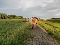 IMG_20210808_194824
