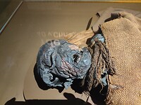 IMG_20210810_154306