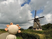 IMG_20210810_114858