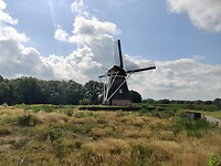 IMG_20210810_114458