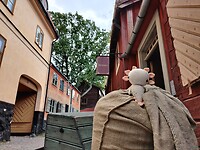 IMG_20220804_143914