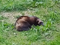 IMG_20220804_125846