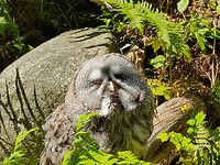 IMG_20220804_125635