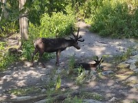 IMG_20220804_123410