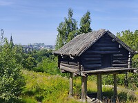 IMG_20220804_123341