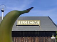 IMG_20220804_122456
