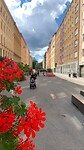 IMG-20220806-WA0022