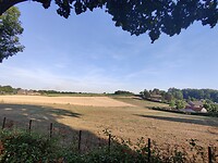 IMG_20220811_191524