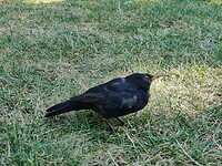 IMG_20220811_174836