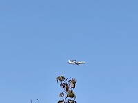 IMG_20220811_135402
