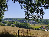 IMG_20220812_132501
