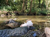 IMG_20220812_124202