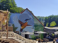 IMG_20220812_122917