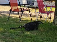 IMG_20220813_110646