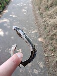 IMG_20220814_122448