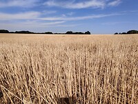 IMG_20220814_120732
