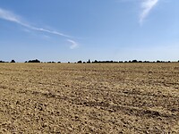 IMG_20220814_120528