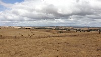 Onderweg naar Mt Gambier