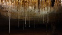 Alexandra cave Naracoorte.