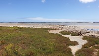 Coorong NP