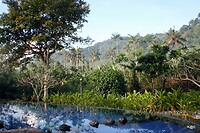 Foto 2011