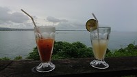 Zicht op Koddiyar Bay