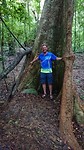 Jungle Rigitale