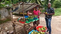 Mango verkoop langs de weg