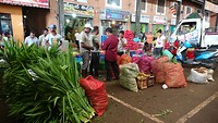 Sligro, Dambulla
