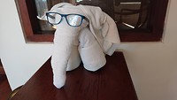 Sunnyfant