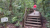 Jindalba wandeling door het regenwoud
