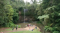 Millaa Millaa Falls