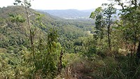Mapleton Falls
