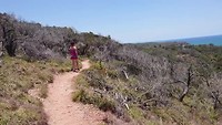 Wandeling Noosa Beach