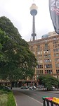 Sydney Tower