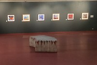 Galerij Aboriginal kunst