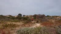 Andre onopvallend in de duinen