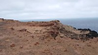 Petrified forest