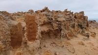 Petrified forest