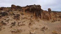 Petrified forest