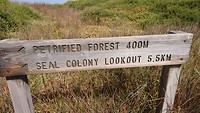 Seal colony lookout