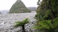 Fox Glacier